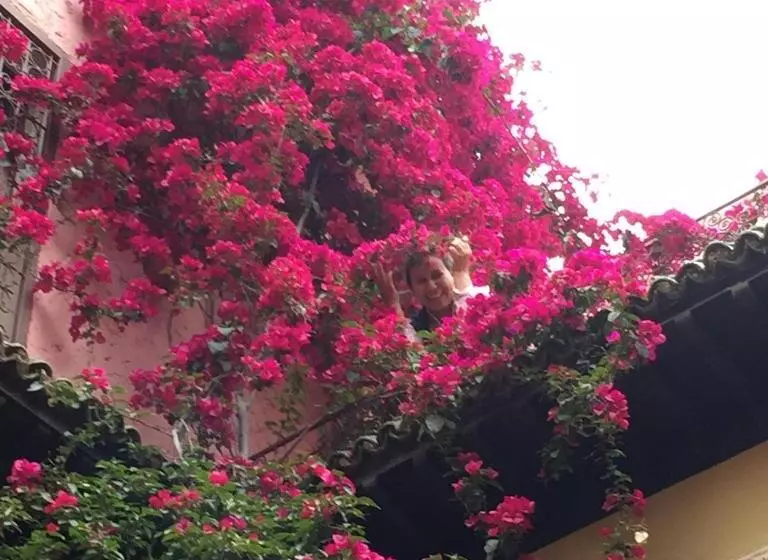 Riad El Ma