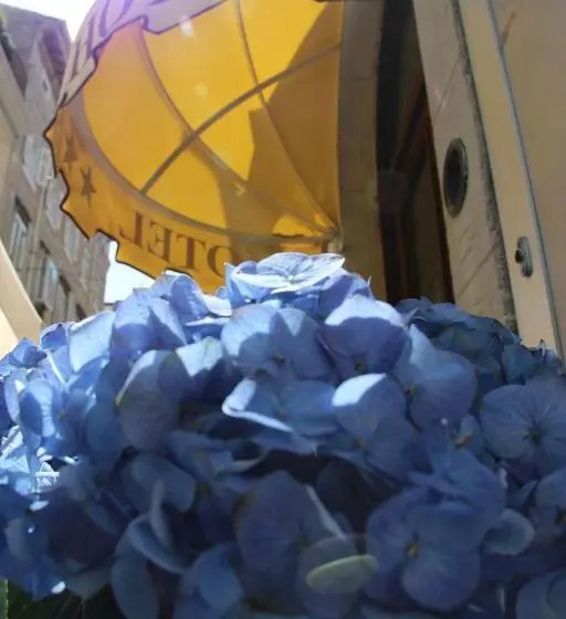 هتل Albergo Al Viale