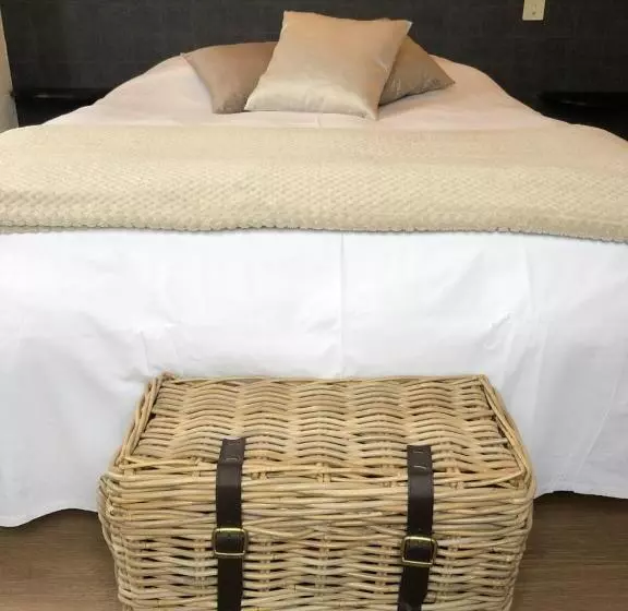 هتل Du Pot D'etain