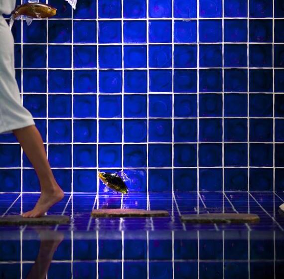 酒店 Kosta Boda Art