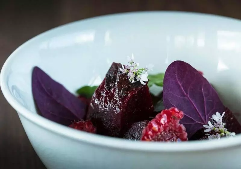 ホテル Logis Hôtel Et Spa Chez Camillou