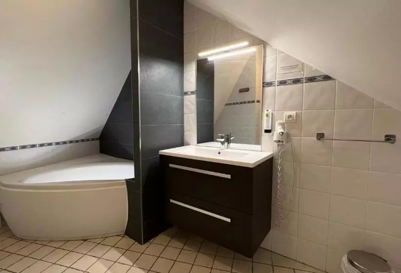 酒店 Logis Hôtel Volcan Sancy