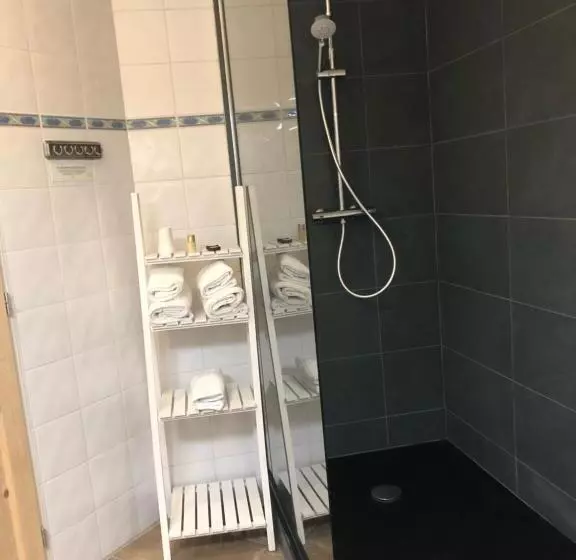 酒店 Logis Hôtel Volcan Sancy