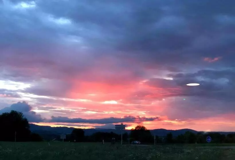 酒店 Logis Hôtel Volcan Sancy