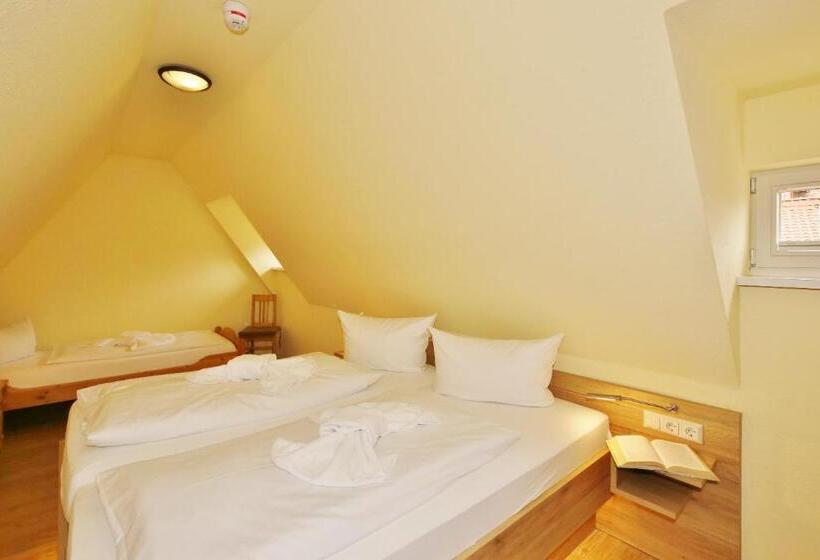 فندق Maria Aurora