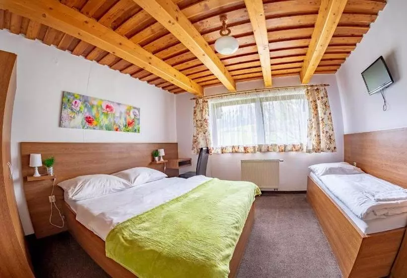 Отель Pension Vasko