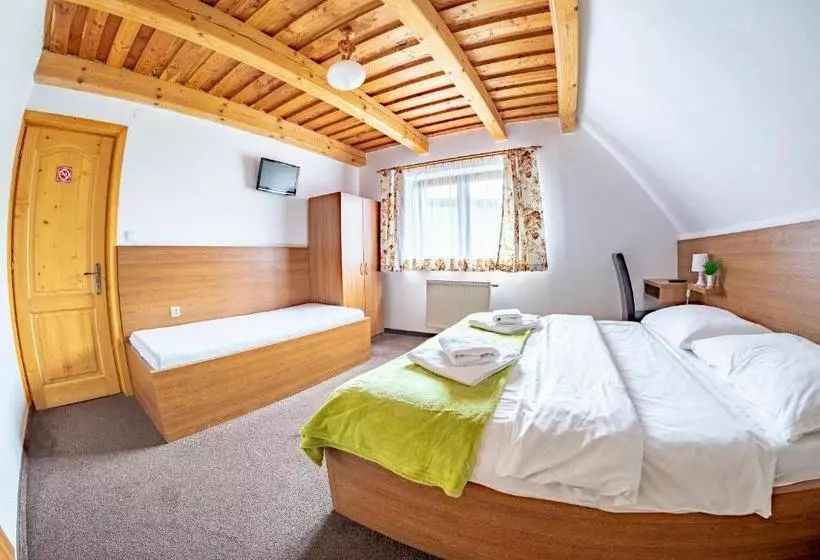 Отель Pension Vasko