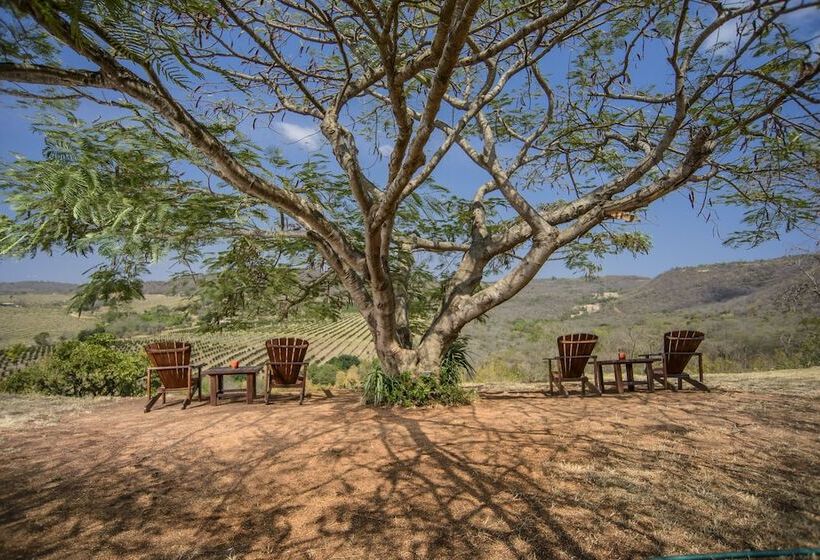 פנסיון Abangane Guest Lodge