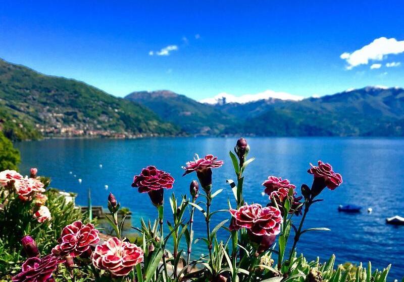 Residence Casa E Vela