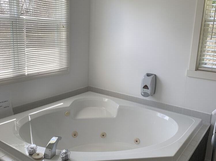 The Lionstone Inn Motel And Cottages