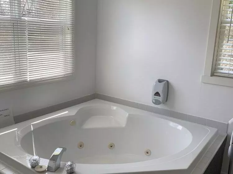 The Lionstone Inn Motel And Cottages