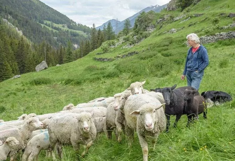 Отель Au Bivouac De Napoléon
