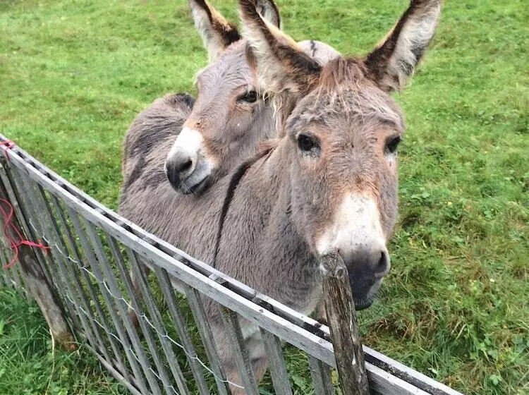 Отель Au Bivouac De Napoléon