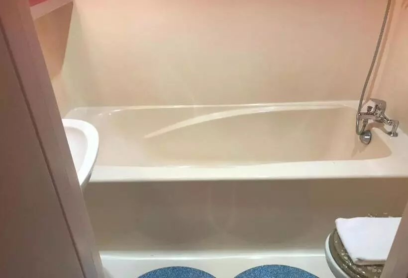 ホテル Bar Restaurant Couleurs Sud