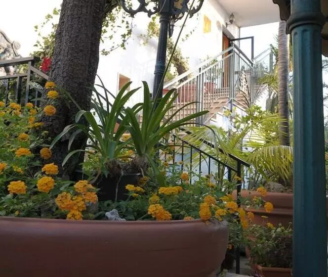 Отель Blumentag