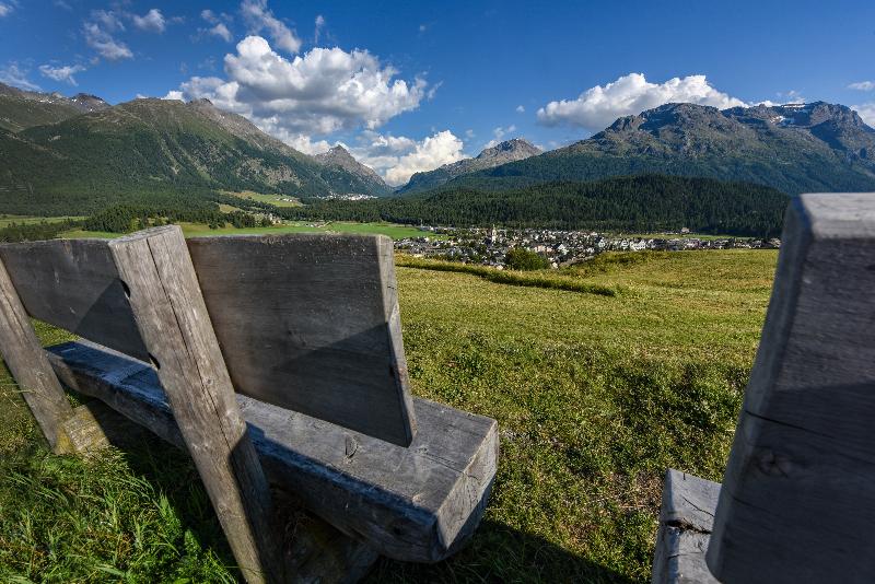 هتل Cresta Palace Celerina