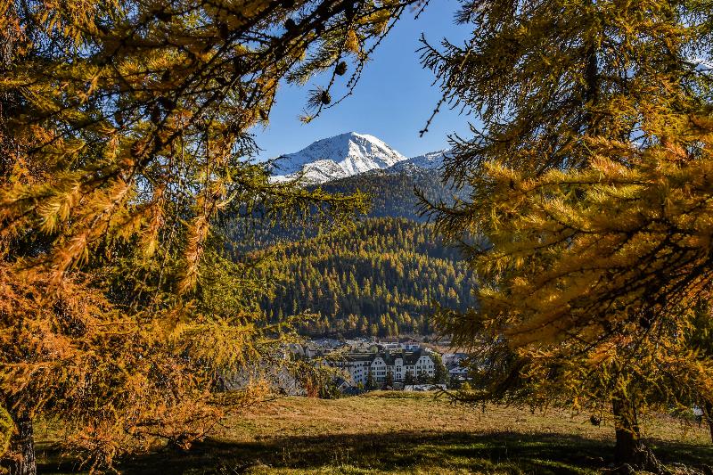 هتل Cresta Palace Celerina