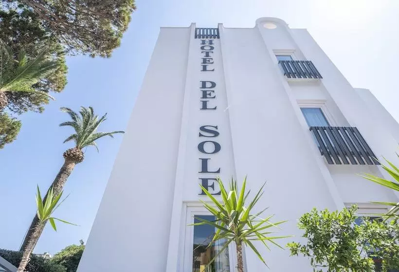 Hotelli Del Sole