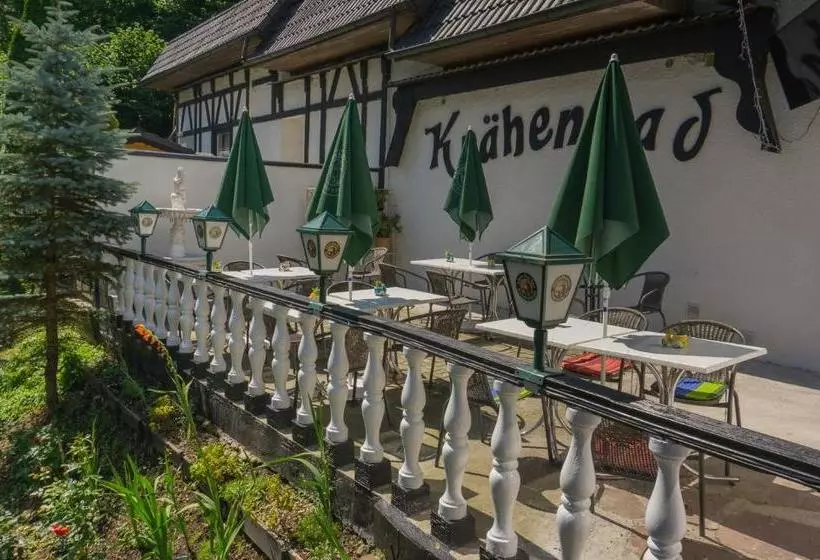 Hotel Krähenbad