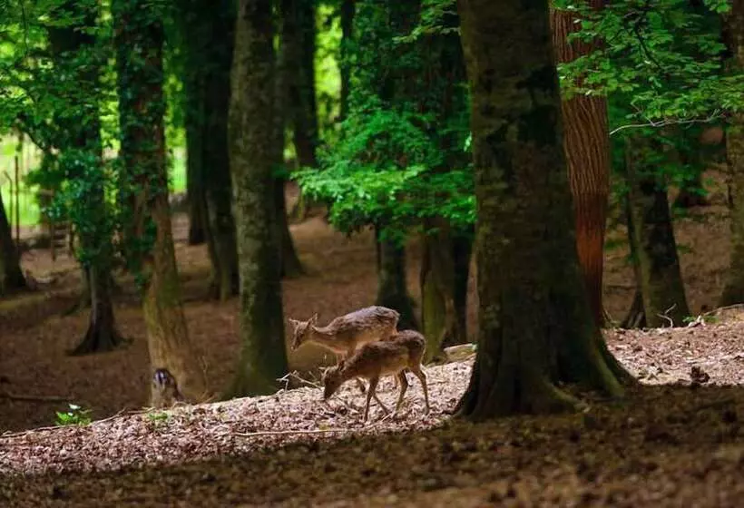 فندق Vela Velo Club Vieste