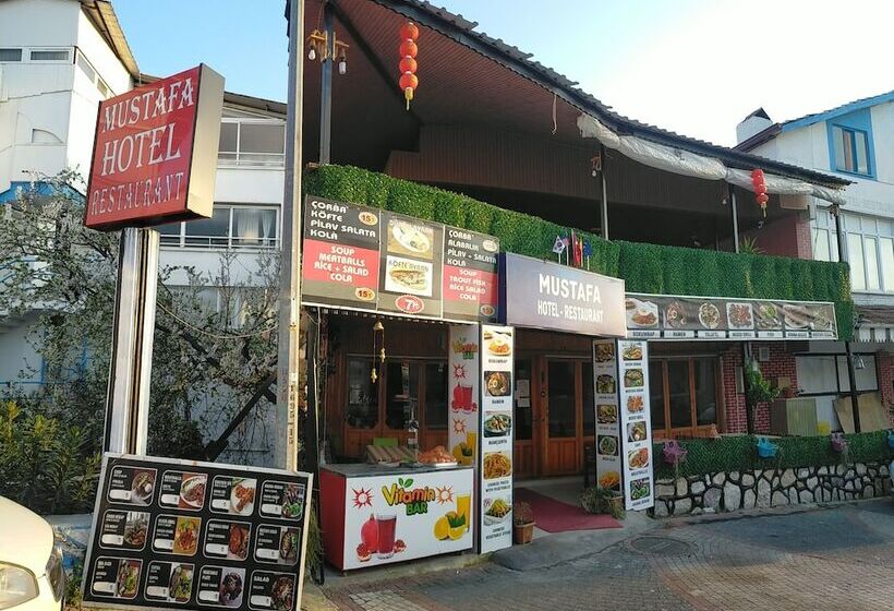 فندق على الطريق Mustafa