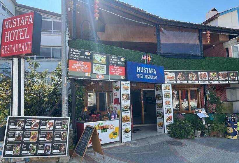 فندق على الطريق Mustafa