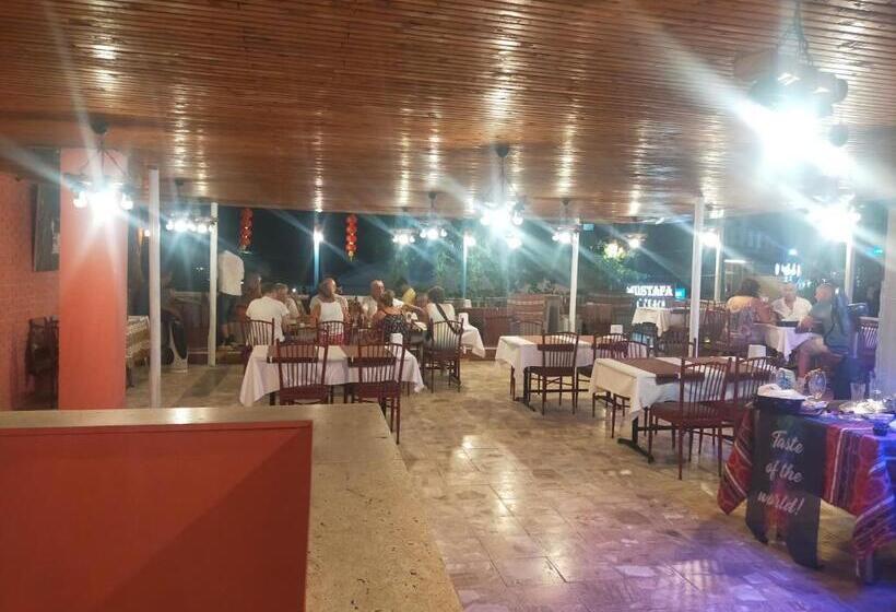 فندق على الطريق Mustafa