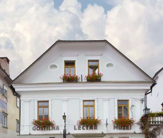 Pension Lectar