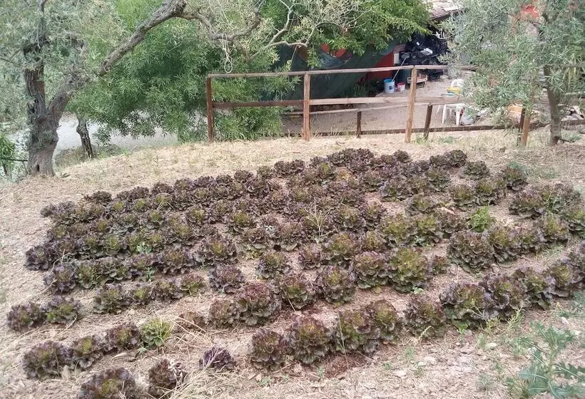 ホテル Agriturismo Al Poggetto