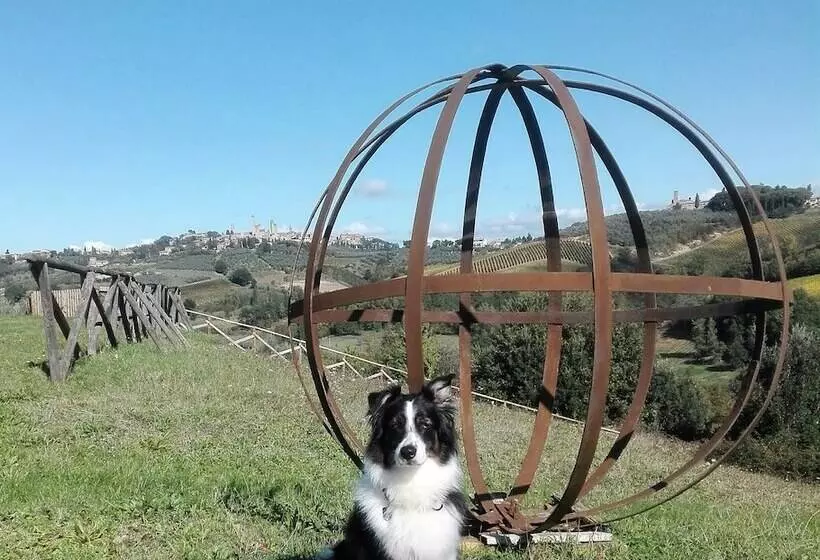 酒店 Agriturismo Poggiacolle