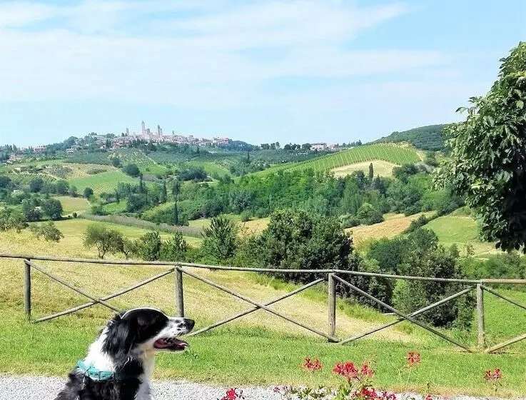 酒店 Agriturismo Poggiacolle