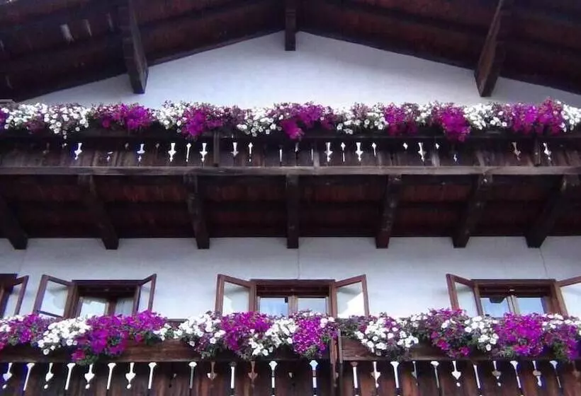 בית מלון כפרי Al Larin