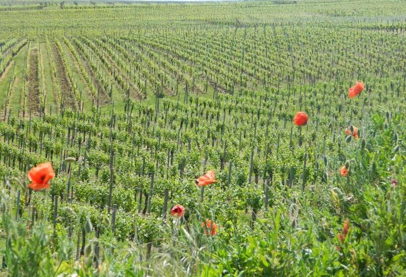 ホテル L Hostellerie Du Château