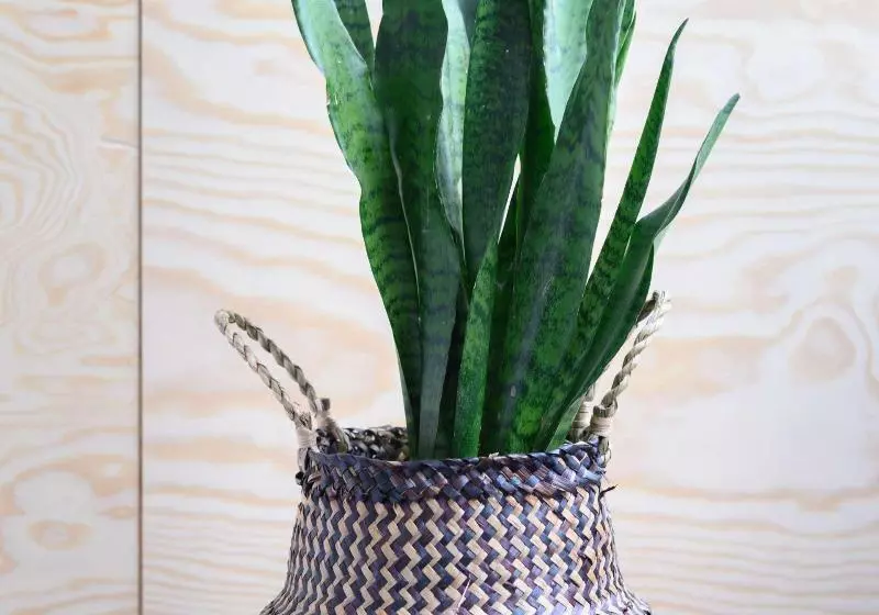 هتل La Grande Cloche