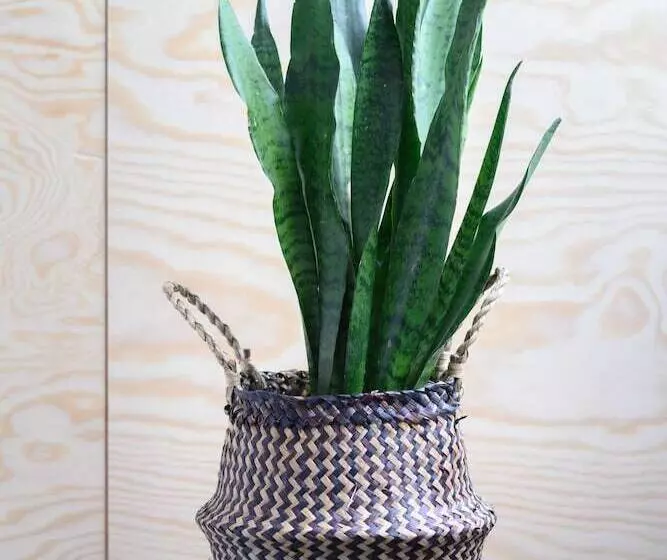 هتل La Grande Cloche