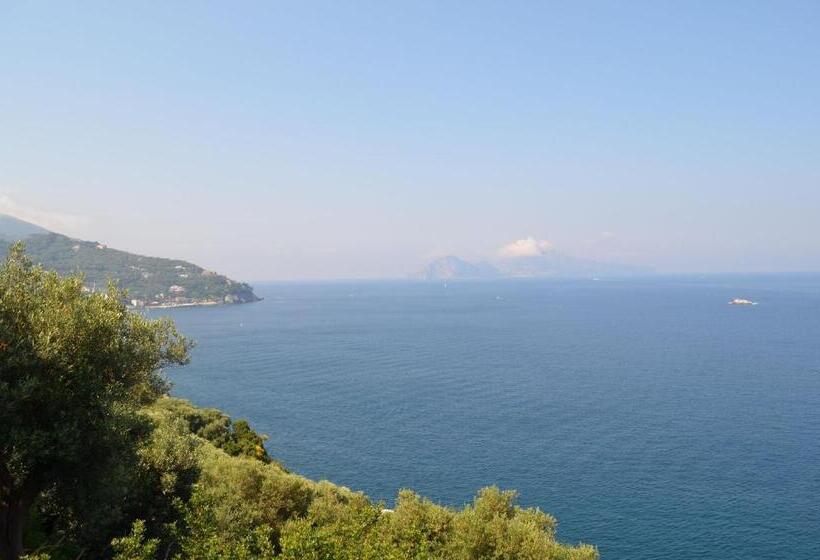 Mini Hotel   Angolo Di Paradiso