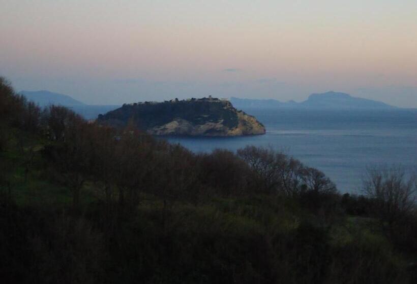 Mini Hotel   Angolo Di Paradiso