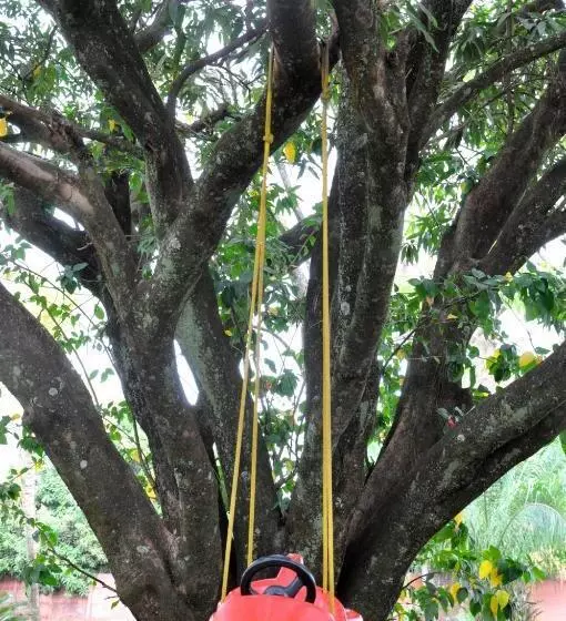Hotel Pousada Beco Da Lua