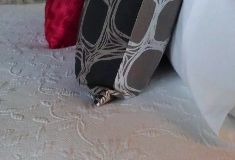 ホテル Touchwood Cottages