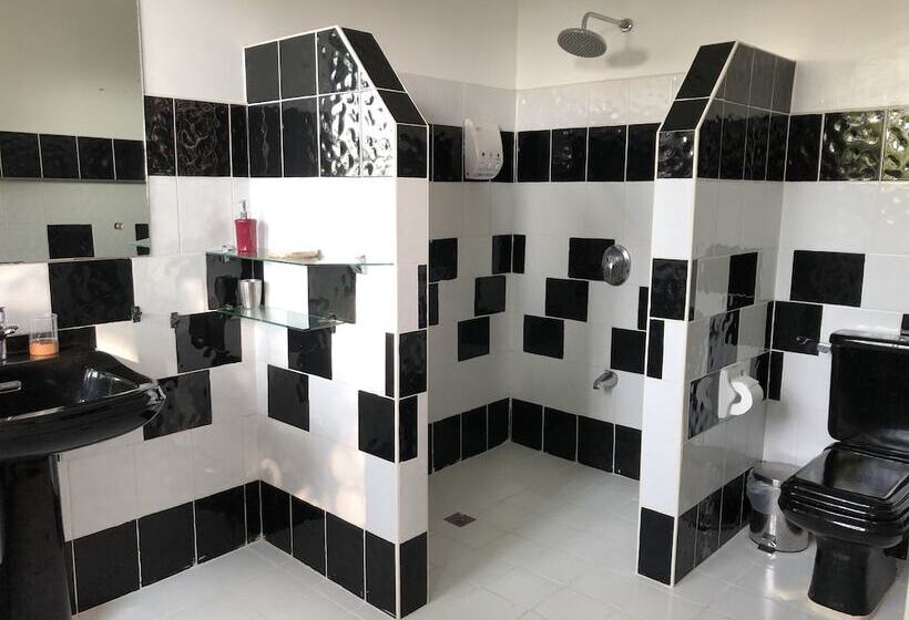 Argonauta Boracay Boutique Hotel With Apartments And Villas