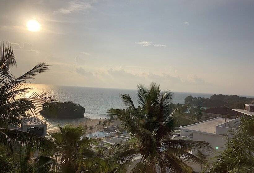 Argonauta Boracay Boutique Hotel With Apartments And Villas