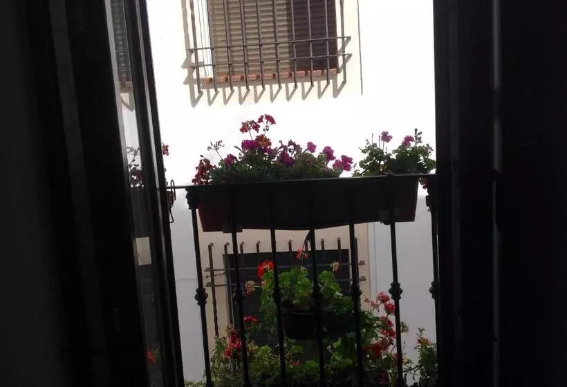 Хостел Boutique Alma Andalusí