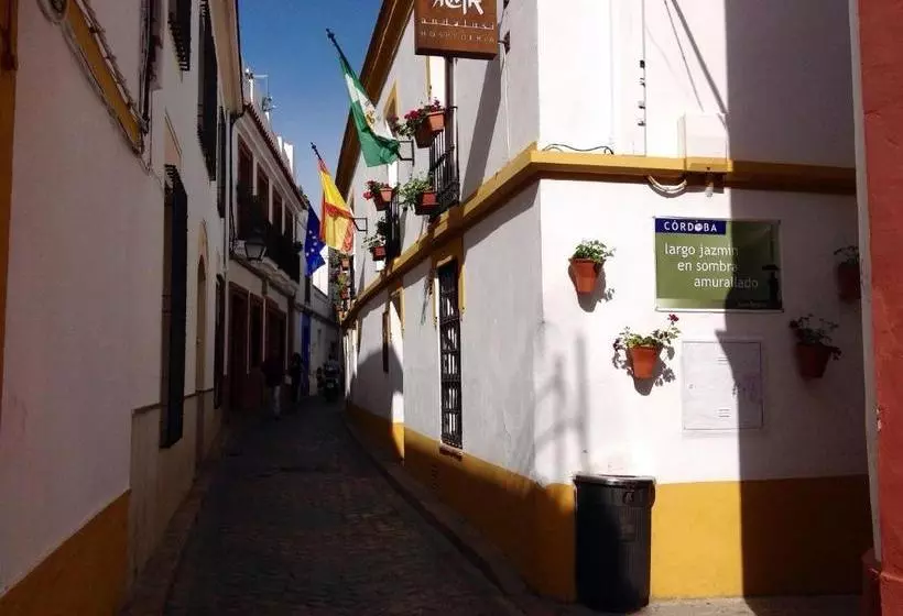 Хостел Boutique Alma Andalusí