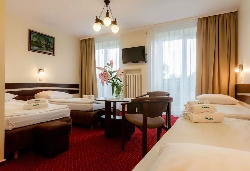호텔 Halny Pensjonat