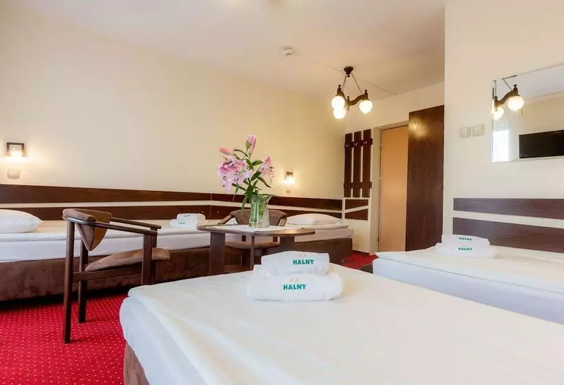 호텔 Halny Pensjonat