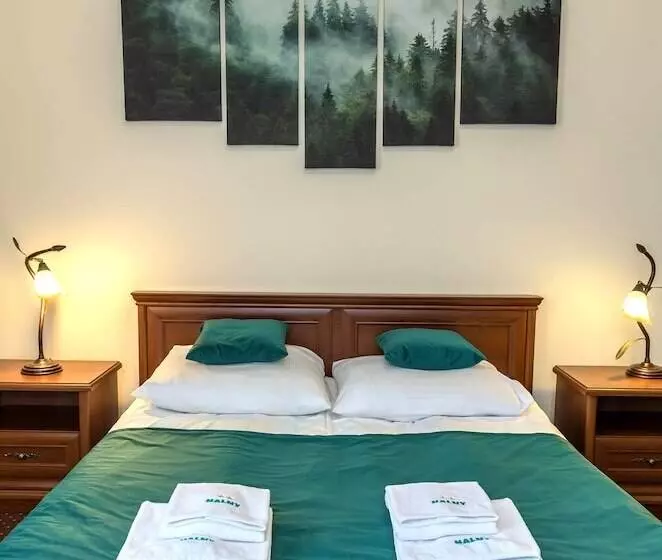 호텔 Halny Pensjonat