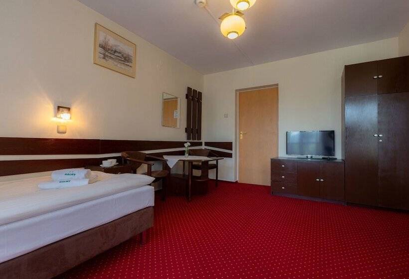 בית מלון כפרי Halny Pensjonat