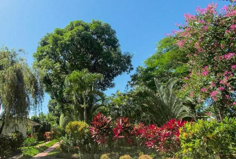 هتل La Rosa De America