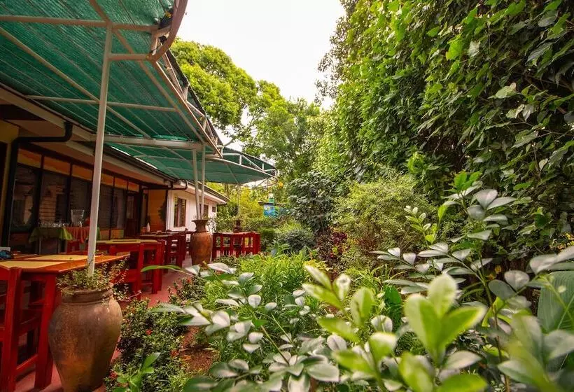 هتل La Rosa De America