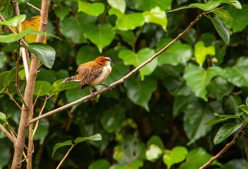 هتل La Rosa De America
